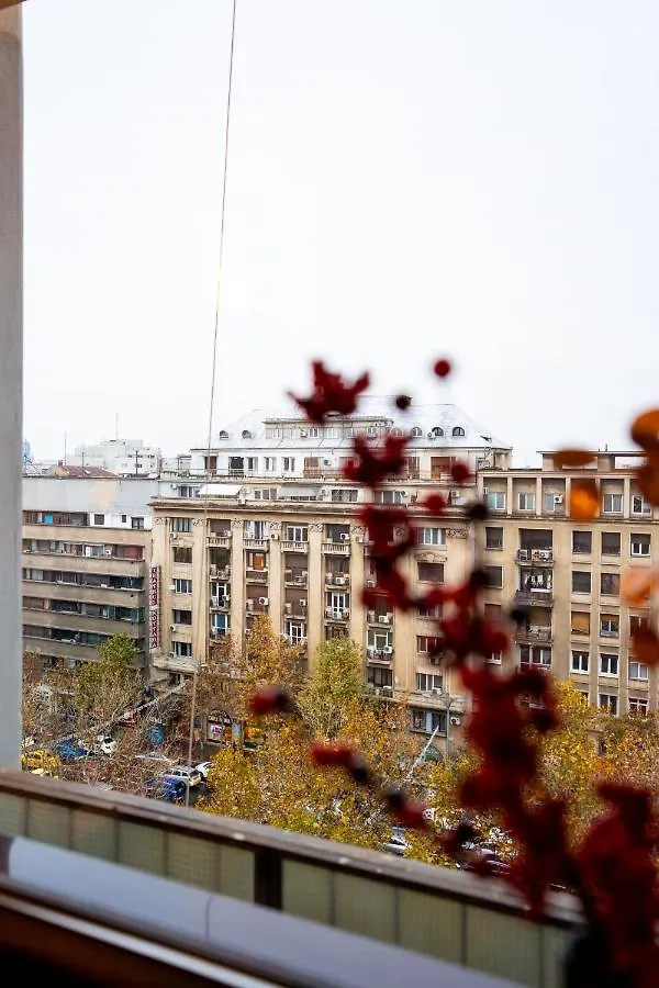 Downtown Heaven┃Ultracentral Bucarest
